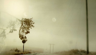 Après la comédie d'horreur "Atomik Circus - Le retour de James Bataille" (2004), Thierry Poiraud, signe "Don't Grow Up", thriller d'épouvante qui sera tourné au Canada... (voir ci-dessous)