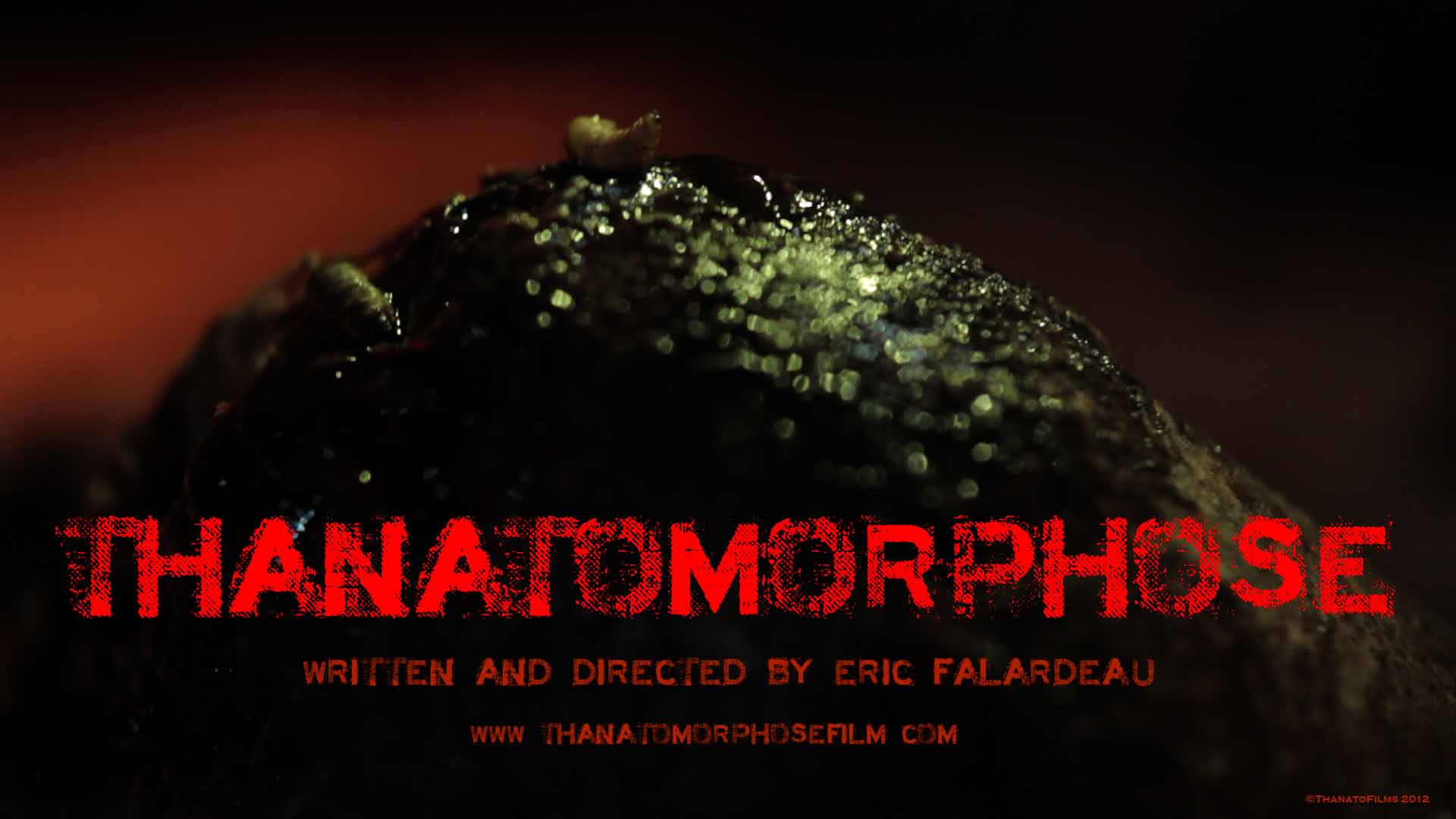Chronique d’une mort annoncée : « Thanatamorphose » (voir ci-dessous)