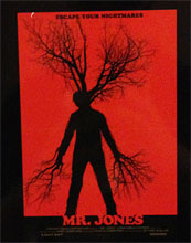 Décrit comme la rencontre entre "Cabin in the Woods" et "L'échelle de Jacob", "Mr. Jones" de Karl Mueller (scénariste de "The Divide" et de "The Occult") est interprété par Jon Foster ("Stay Alive") et Sarah Jones ("Alcatraz").   