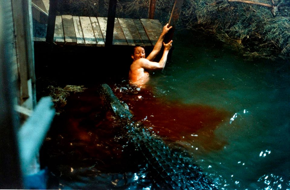 "Le crocodile de la mort", de Tobe Hooper, Grand Prix du Festival International de Paris du Film Fantastique et de Science-Fiction en 1978