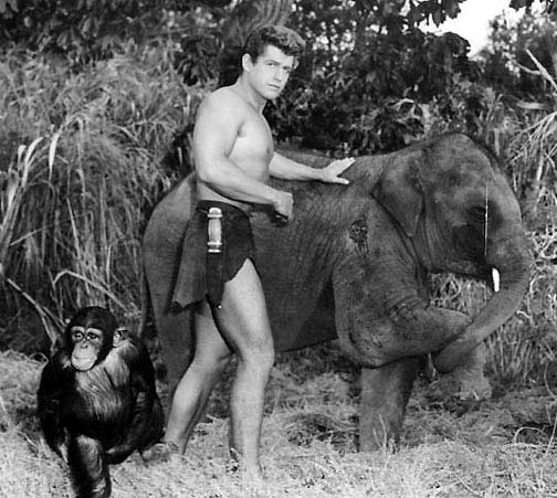 Tarzan's Hidden Jungle