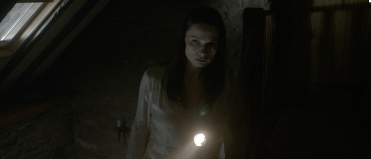 Dans "Soulmate" écrit et réalisé par Axelle Carolyn et produit par Neil Marshall ("The Descent"), après une tentative avortée de suicide, Audrey, une jeune veuve, se retire dans un cottage isolé....