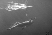 L'étrange Créature du Lac Noir