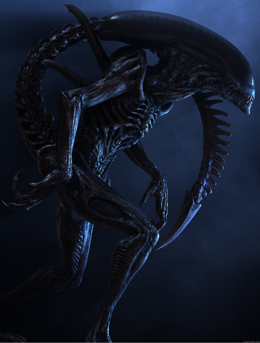 ALIEN VS PREDATOR