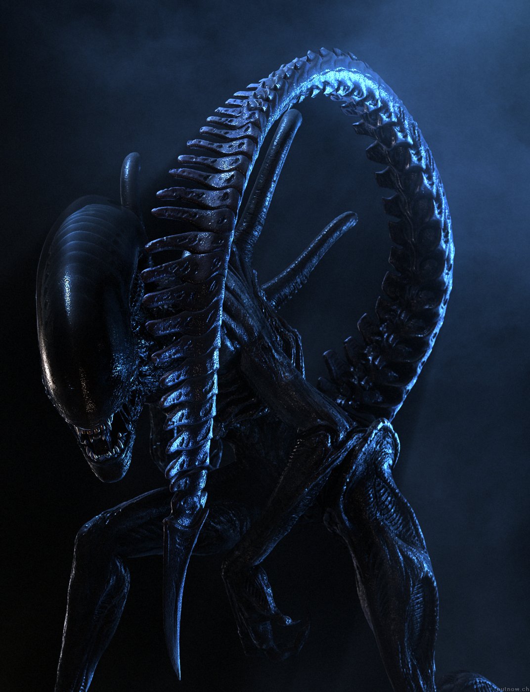 ALIEN VS PREDATOR