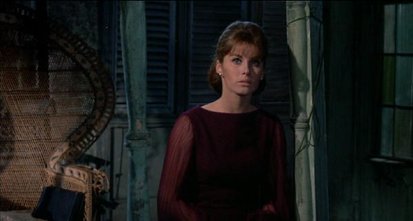 Fanatic (1965)