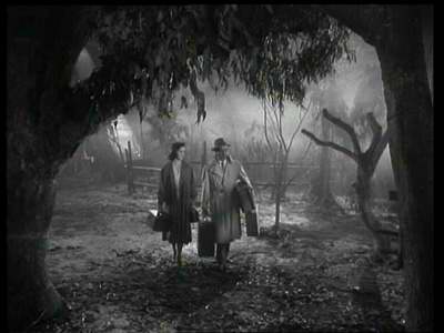 LES PROIES DU VAMPIRE