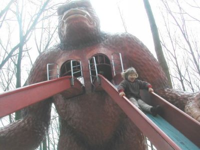 KING KONG CURIOSA