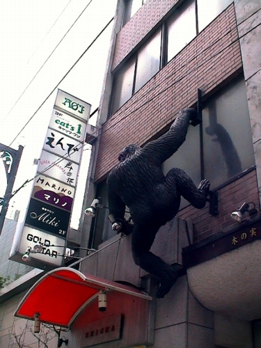KING KONG CURIOSA