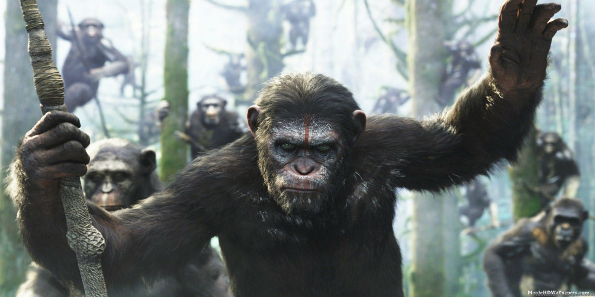 LA GUERRE DE LA PLANETE DES SINGES a commencé… (voir ci-dessous)