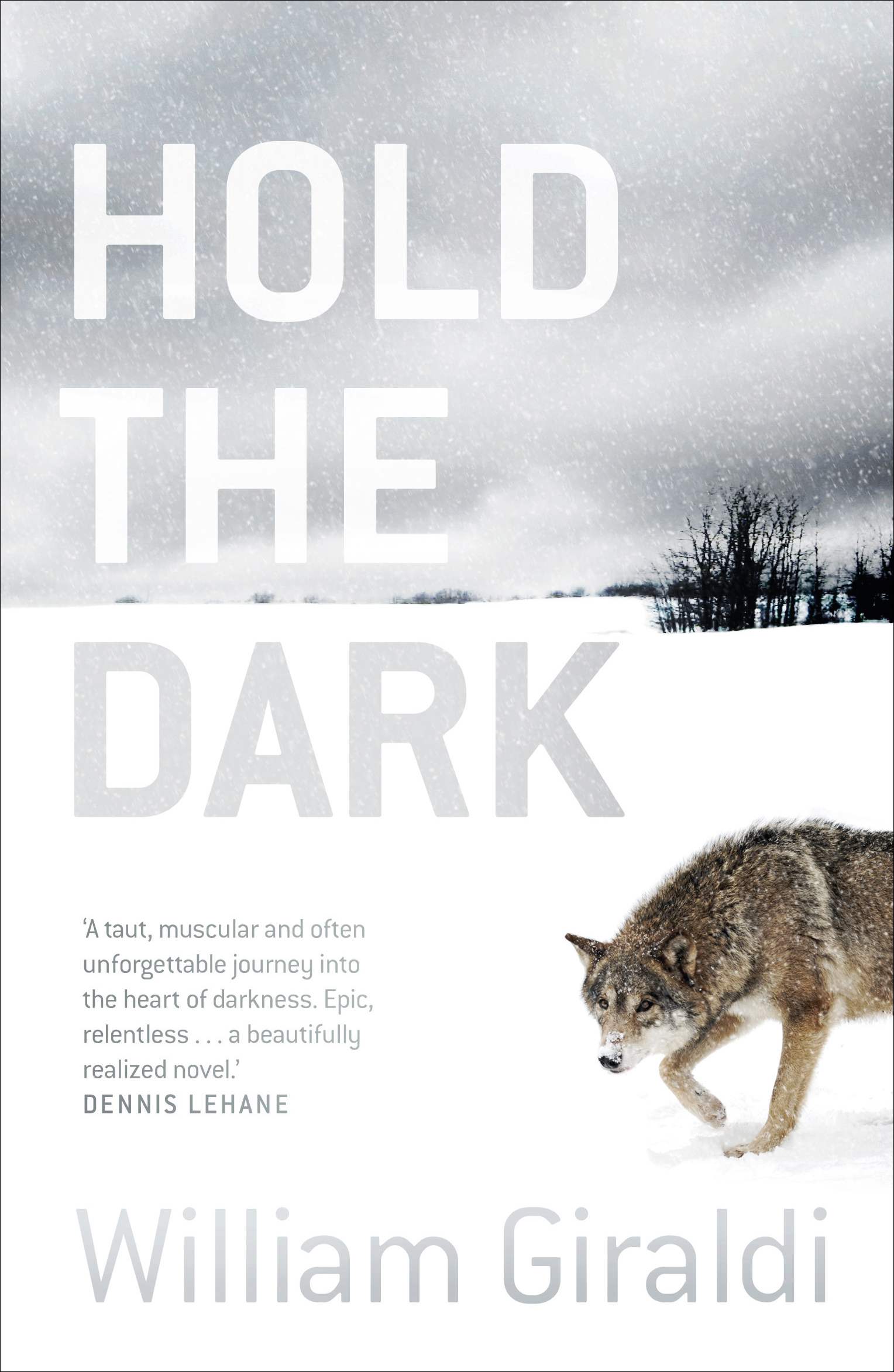 Jeremy Saulnier dirige un nouveau thriller horrifique : HOLD THE DARK… (‘voir ci-dessous)