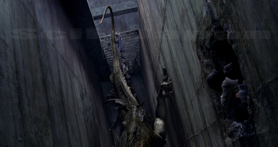 The Host