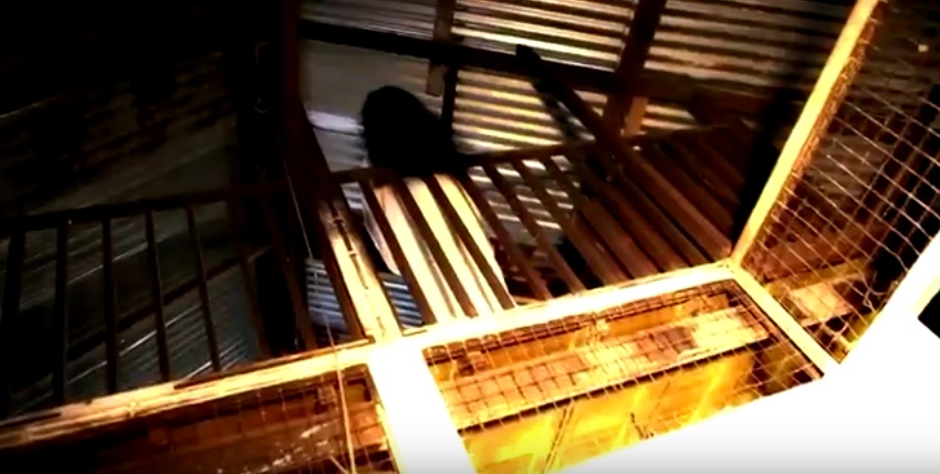 Tortured Souls (2015)