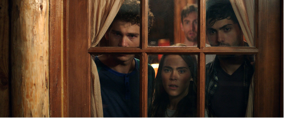 Le remake de CABIN FEVER sort en vod et en salles aux USA en février (voir ci-dessous)