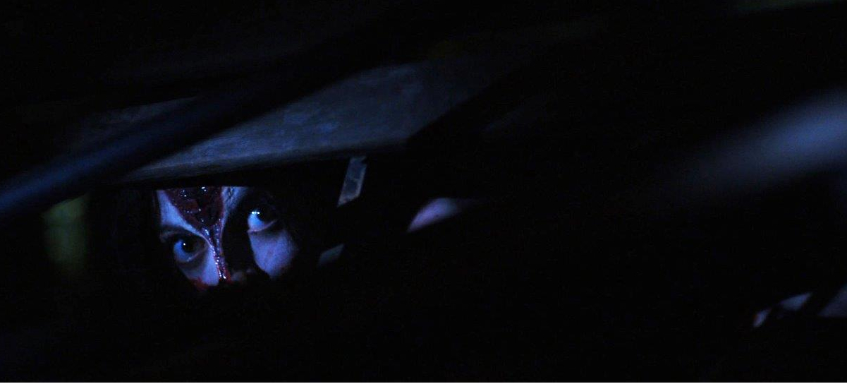 Une succube gâche un enterrement de garçon dans «Siren»….