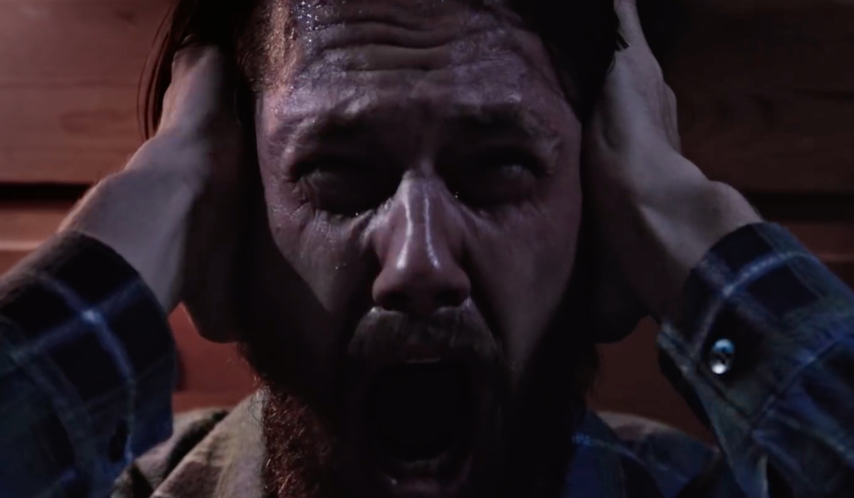 THE AMITYVILLE MURDERS