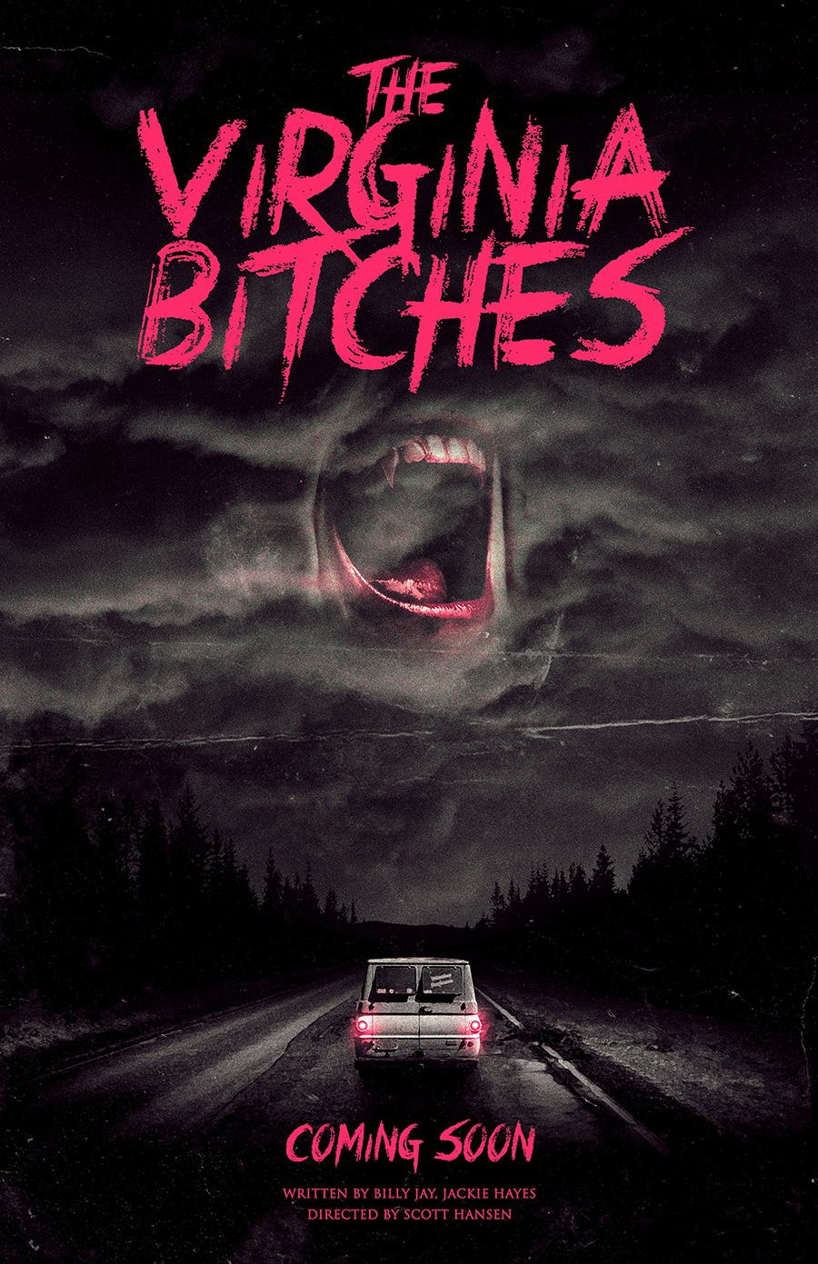 The Virginia Bitches