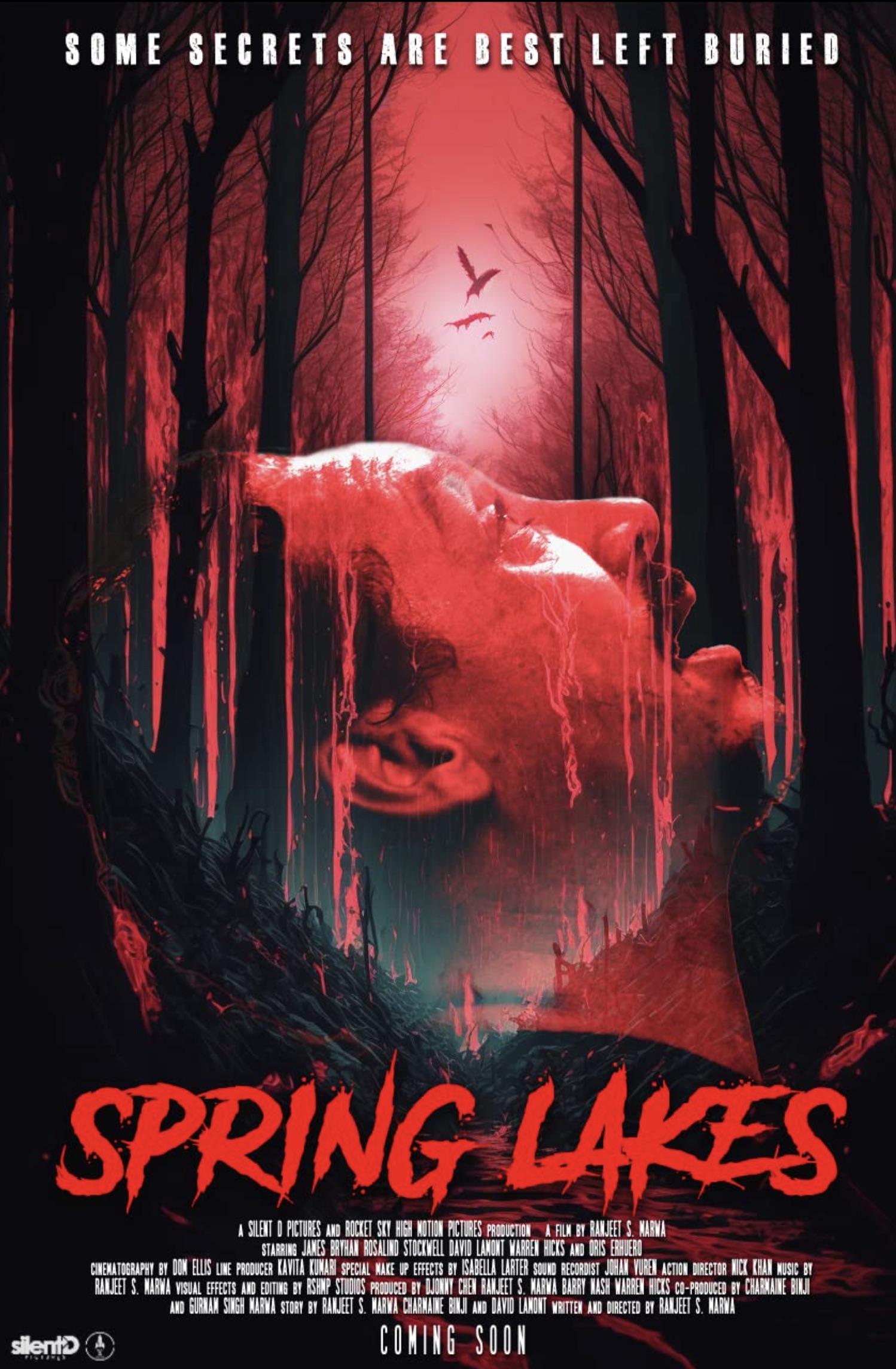 Spring Lakes