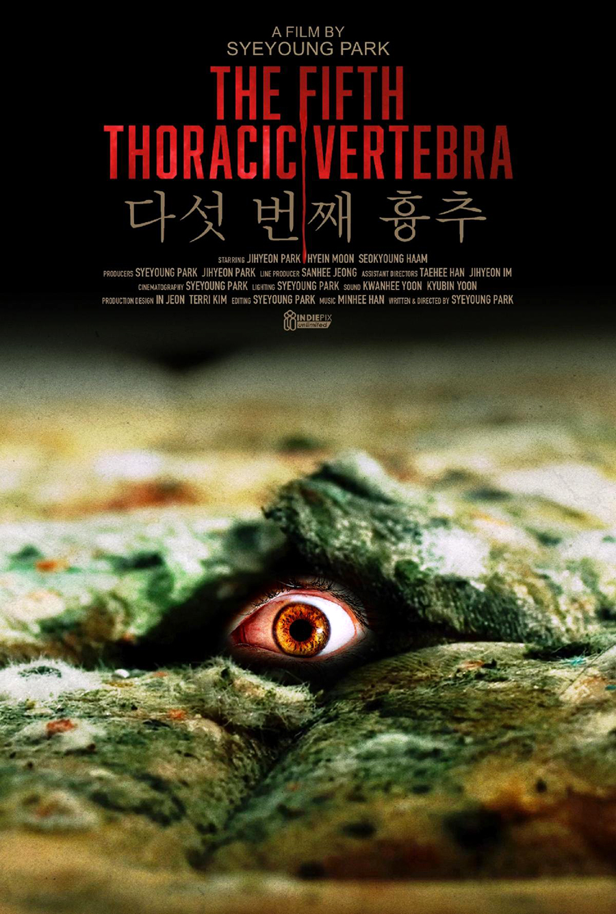 The Fifth Thoracis Vertebra