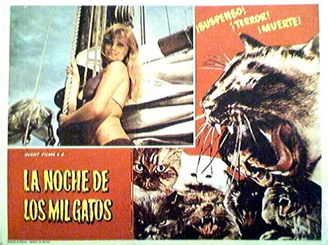 La nuit des 1000 Chats