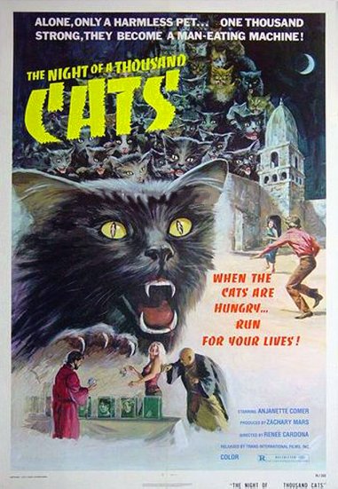 La nuit des 1000 Chats