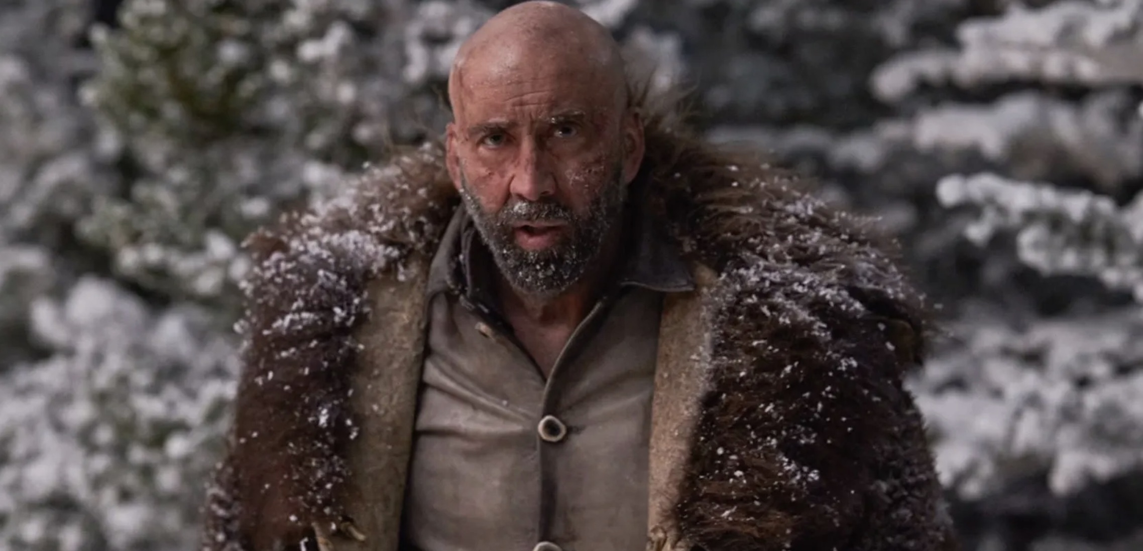 The Carpenter’s Son