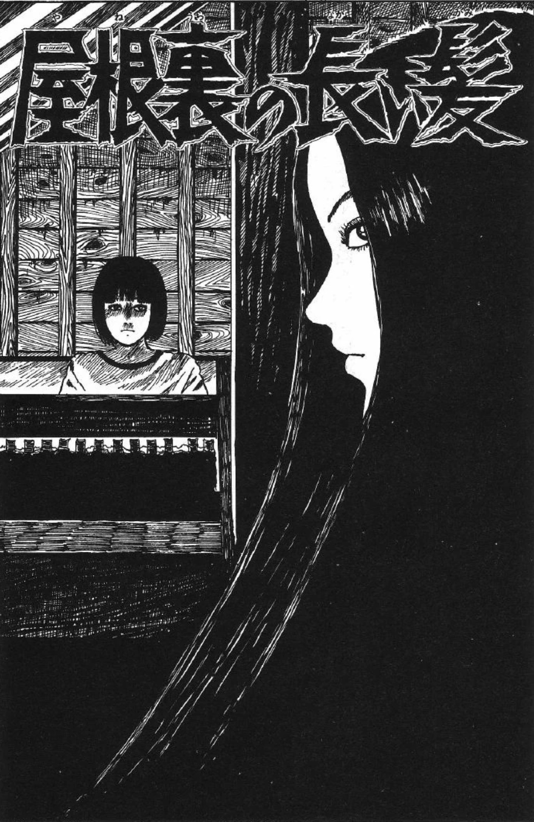 The Long Hair In The Attic 