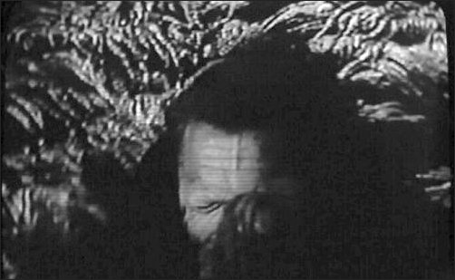 Caltiki, le monstre immortel