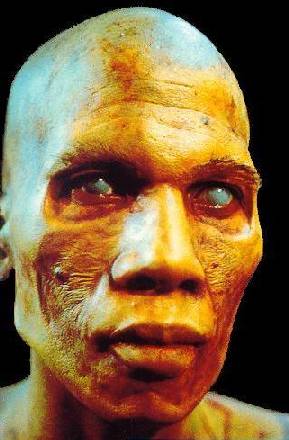 La nuit des morts-vivants (le remake de Tom Savini)