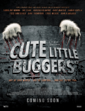 Cute Little Buggers