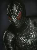 Le vainqueur du Prix Pulitzer 2007 aux chevets de "Spider-Man 4" (suite ci-dessous)