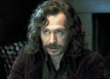 Gary Oldman devient Merlin l'Enchanteur pour "Arthur & Lancelot" (voir ci-dessous)