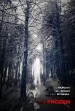 Sorti le 12 octobre dernier aux USA, "The Frozen" est signé  Andrew Hyatt et interprété par Noah Segan ("Looper"), Brit Morgan ("True Blood") et Seth David Mitchell. (voir ci-dessous)