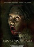 Before Night Falls